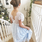 Aluna in Baby Blue ~  Flower Girl /Party Dress