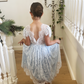 Aluna in Baby Blue ~  Flower Girl /Party Dress