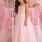 Daisy ~ Ballet Pink Party Girl Dress /Flower Girl Dress