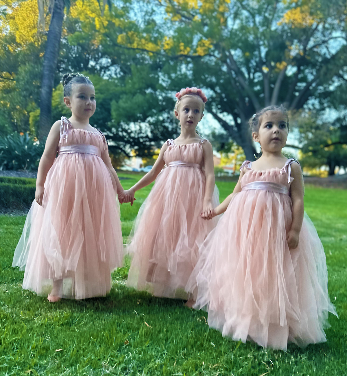 Mina in Blush ~ Party or Flower Girl Dress