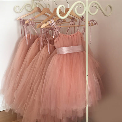 Mina in Blush ~ Party or Flower Girl Dress