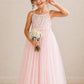 Daisy ~ Ballet Pink Party Girl Dress /Flower Girl Dress