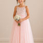 Daisy ~ Ballet Pink Party Girl Dress /Flower Girl Dress