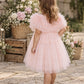 Elsie Ballet Pink Tulle Party Girl Dress {Baby + Toddler}