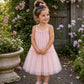 Elsie Ballet Pink Tulle Party Girl Dress {Baby + Toddler}