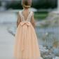 Honey in Blush/Apricot ~ Party or Flower Girl Dress
