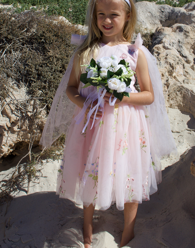 Athena ~ Blush Pink Party or Flower Girl Dress