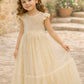 Noel in Champagne ~ Party or Flower Girl Dress