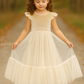 Noel in Champagne ~ Party or Flower Girl Dress
