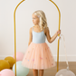 Enchanted Pixie Tutu